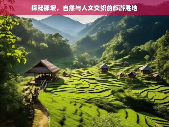 探秘那坡，自然与人文交织的旅游胜地