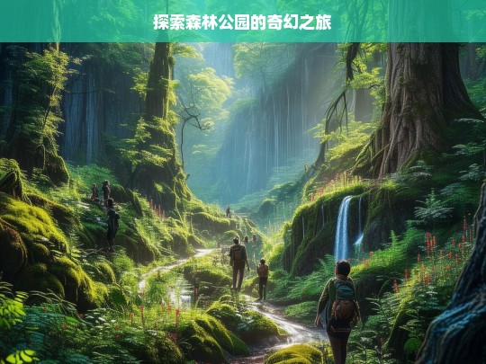 探索森林公园的奇幻之旅