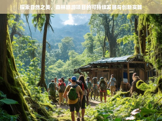 探索自然之美，森林旅游项目的可持续发展与创新实践