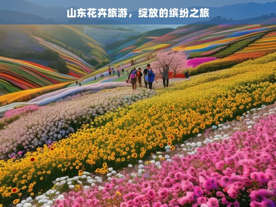 山东花卉旅游，绽放的缤纷之旅