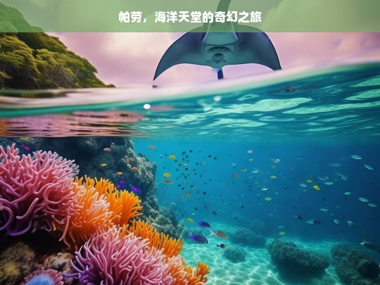 帕劳，海洋天堂的奇幻之旅