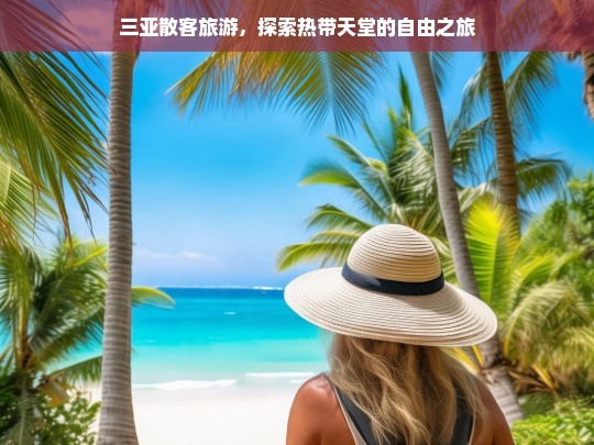 三亚散客旅游，探索热带天堂的自由之旅