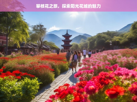 攀枝花之旅，探索阳光花城的魅力