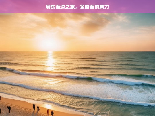 启东海边之旅，领略海的魅力