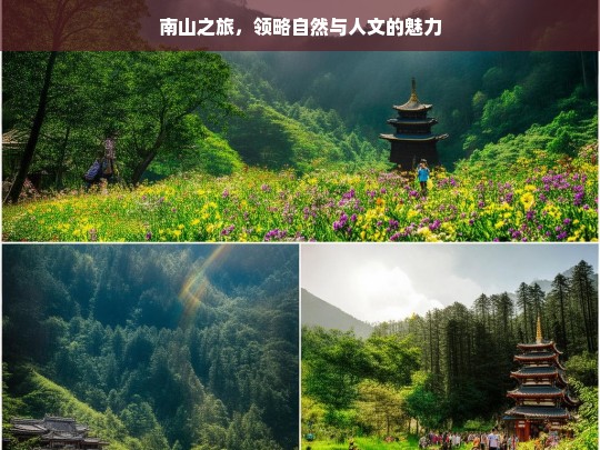 南山之旅，领略自然与人文的魅力